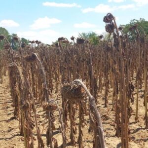 adana kirklareli ve edirneden teker teker kotu haberler geliyor p7dOUF4H