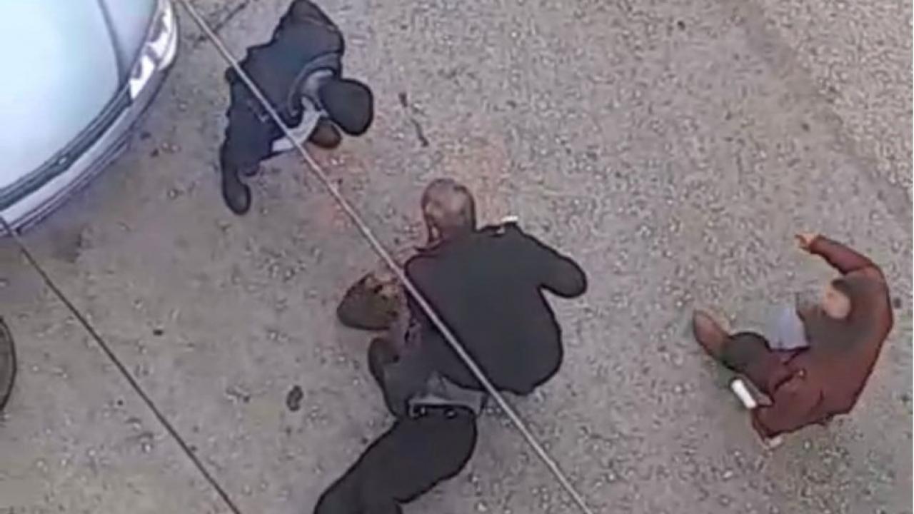 petshopta taciz sokak ortasinda meydan dayagi ULHZLAOd