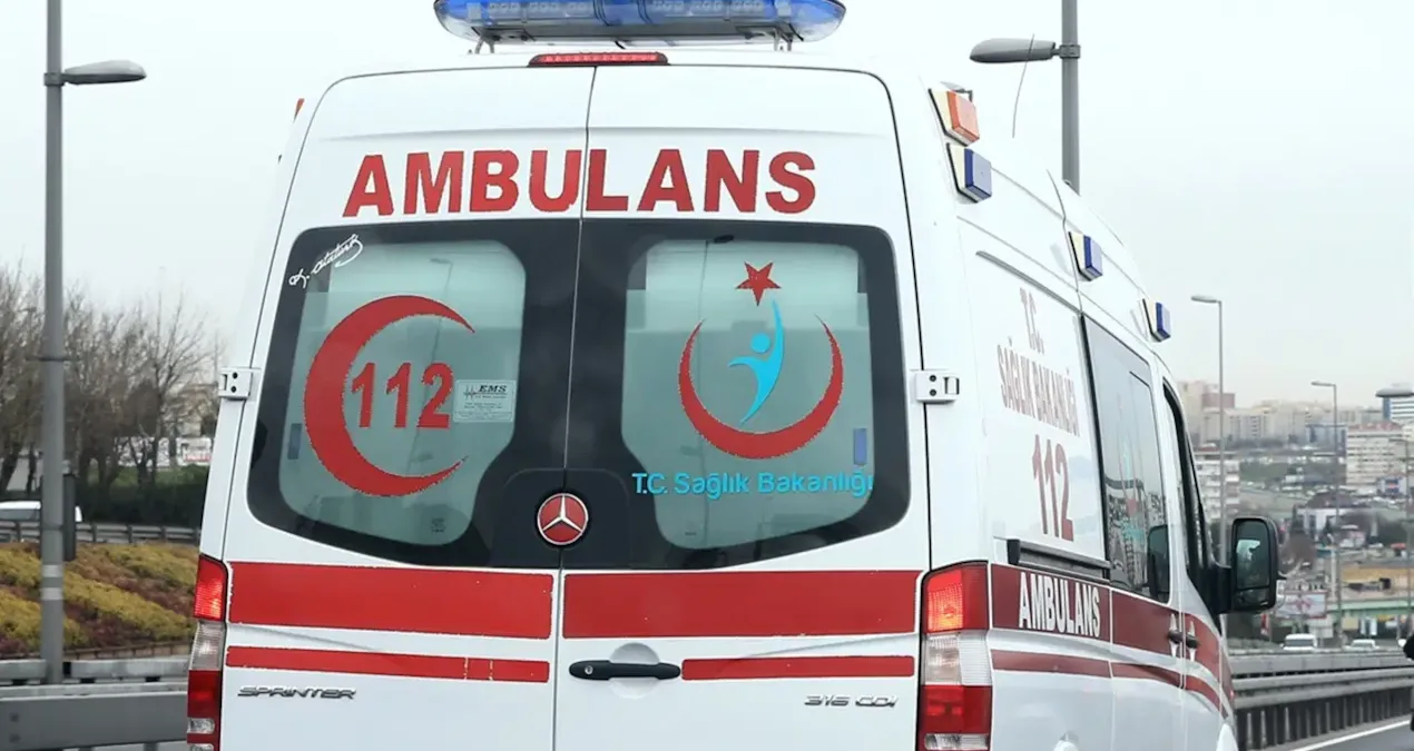 Bir kadın evinde 30 kedisiyle birlikte hayatını kaybetti