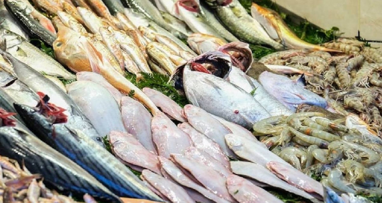 Hamsi, somon veya palamut değil: Kış aylarında B12 ve omega deposu bu balıklar tüketilmeli