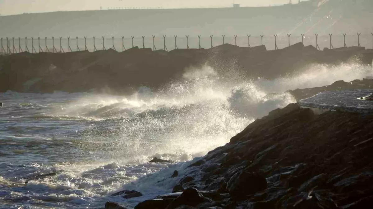 Hamsi Yerine İstavrit