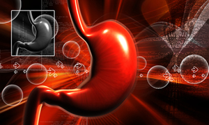 Farelerdeki pankreas kanserini tedavi eden araştırmacılara klinik deneyler için en az 30 milyon avro gerekiyor